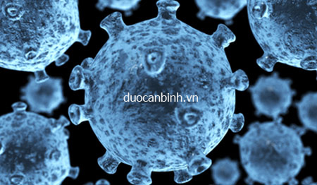 Virus HIV tấn công hệ miễn dịch